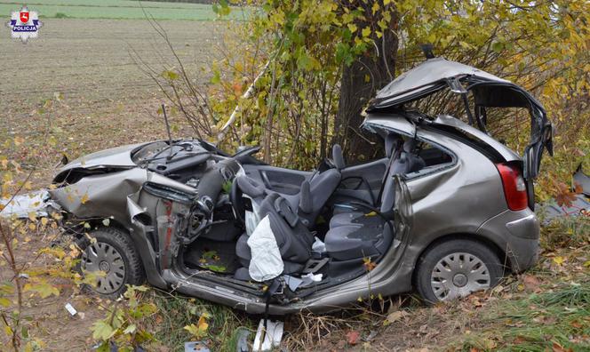 Wypadek w miejscowości Przewłoka