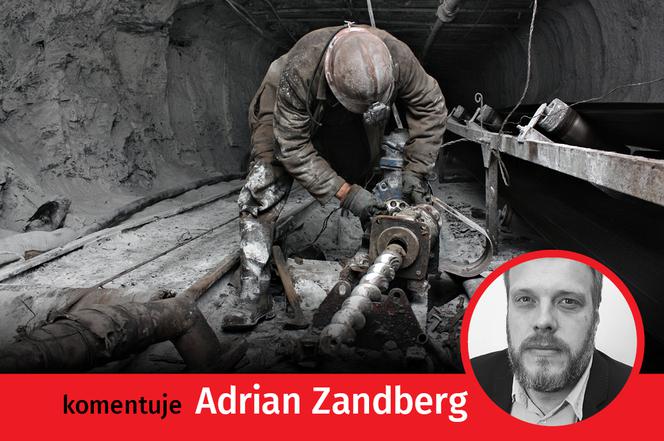 Opinie Zandberg SG