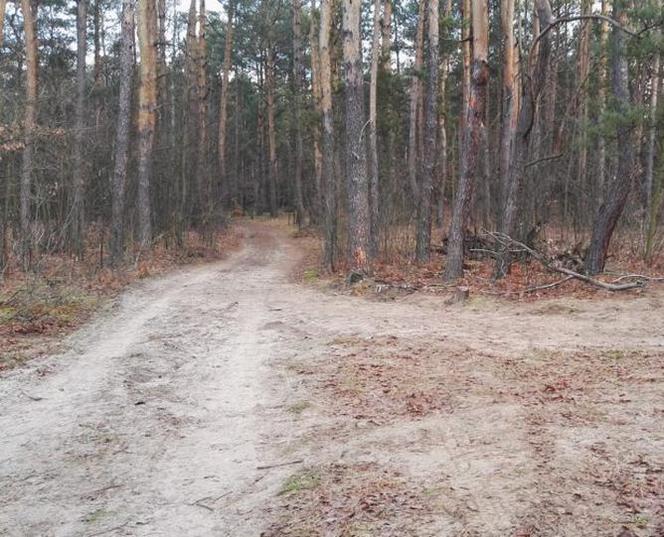 Quad uderzył w drzewo. Kierowca zginął na miejscu. Pasażer w szpitalu