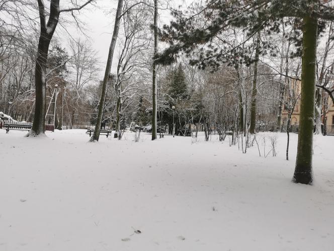 śnieg