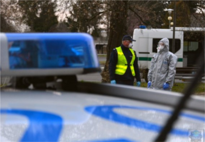 Koronawirus jak immunitet?