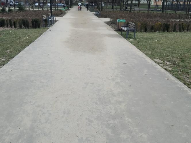 parki wiosna