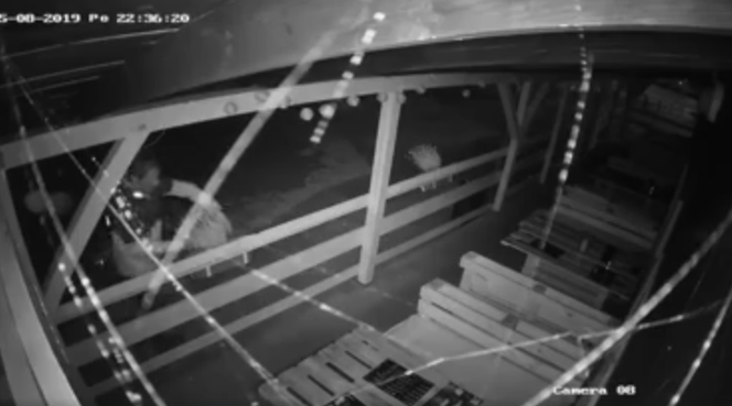 Zdjęcie z monitoringu (zrzut ekranu)