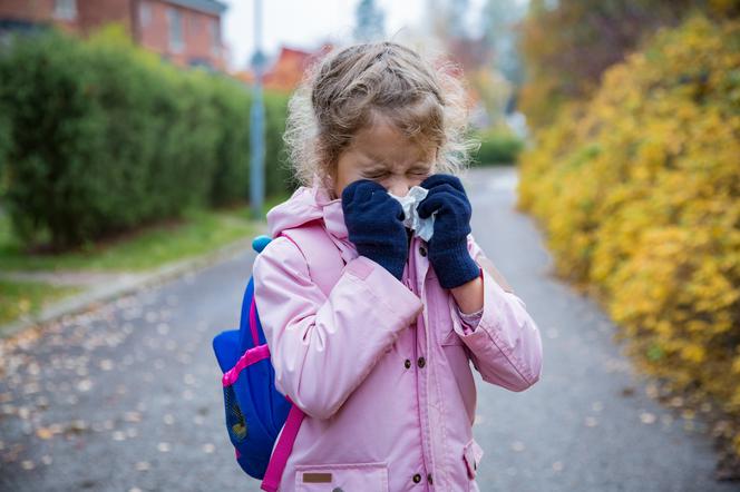 Przeziębienie czy alergia