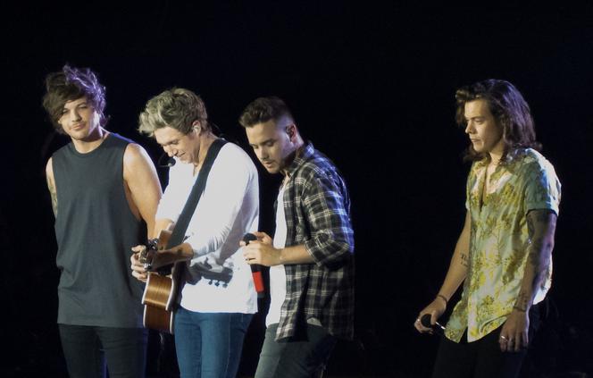 One Direction - zdjęcie z 2015 roku