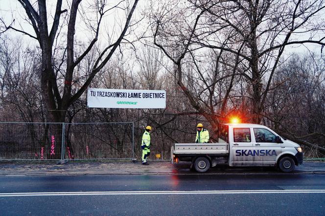 Aktywiści Greenpeace bronią drzew nad Wisłą