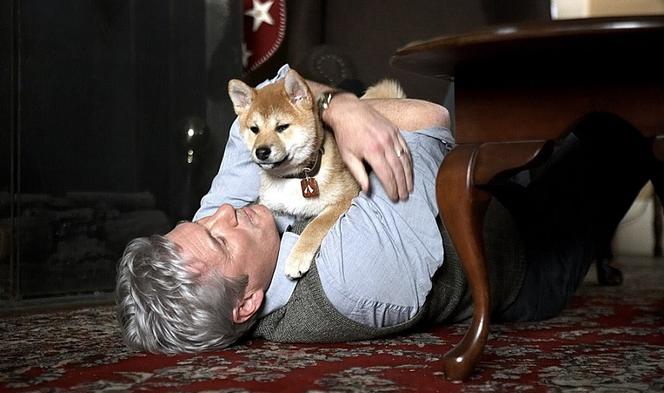 Mój przyjaciel Hachiko