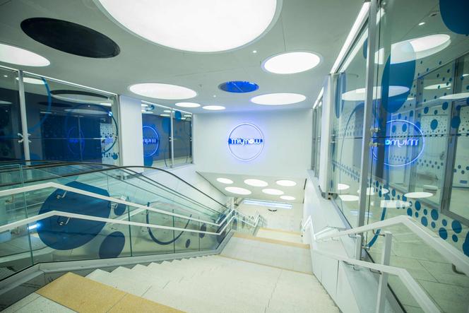 Kup sobie neon ze stacji metra Młynów! Wyjątkowa aukcja Allegro, pieniądze idą na WOŚP