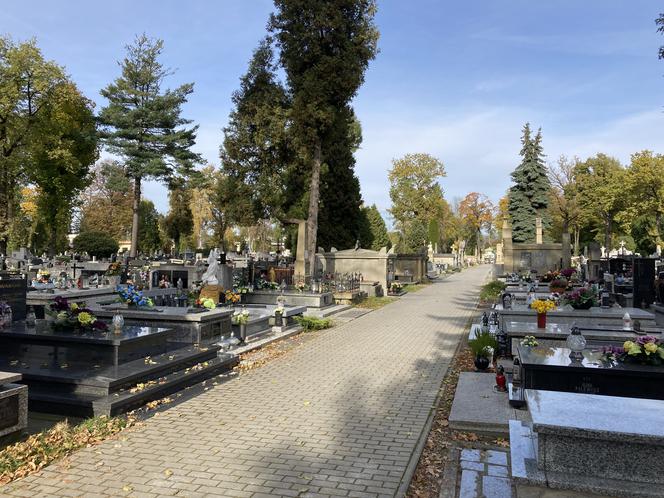Cmentarz komunalny przy ul. Rejtana
