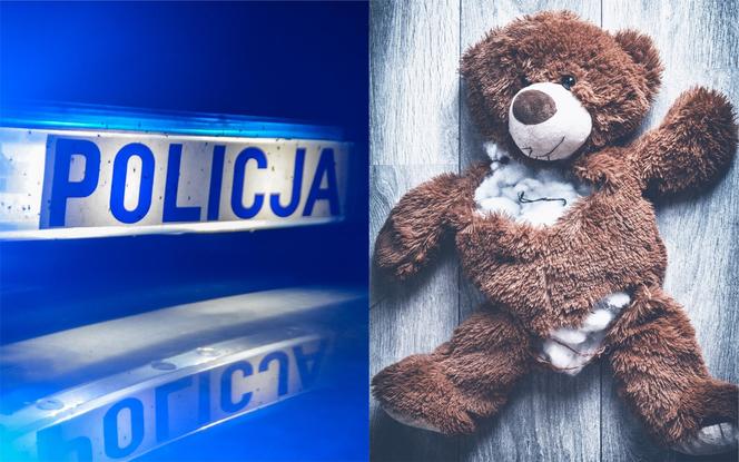 Najlepszy przyjaciel dzieci skrywał TAJEMNICĘ! Odkryli ją dopiero policjanci z Leszna
