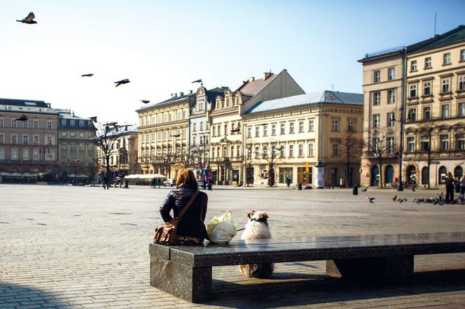 Rynek w Krakowie