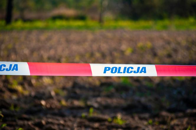 Makabryczne odkrycie w Toruniu. Zwłoki mężczyzny leżały w trawie