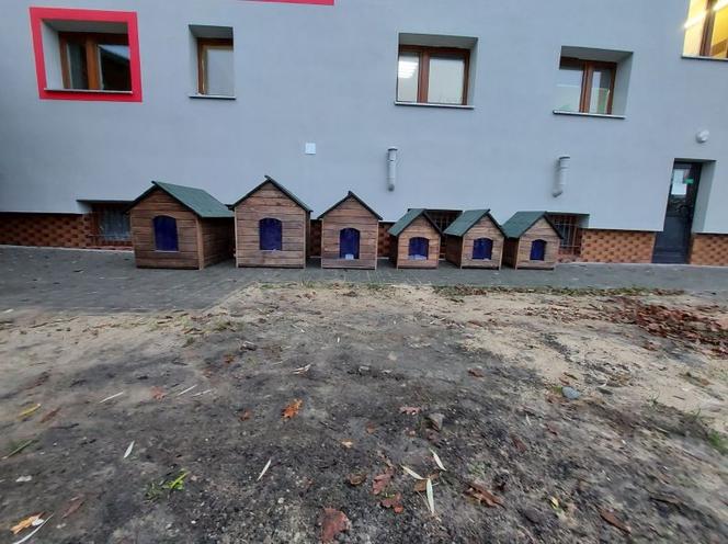 buda grudziadz