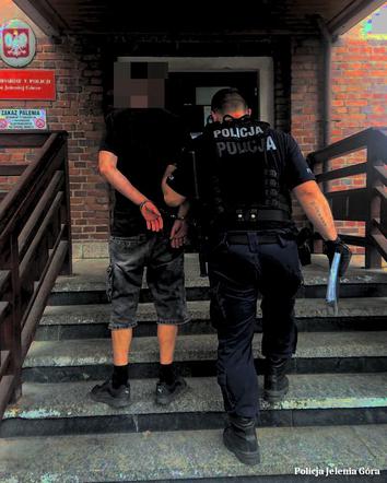 Wandal w rękach policji