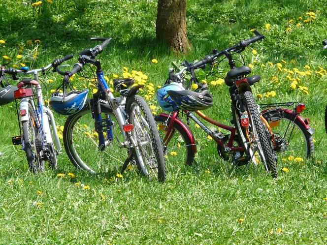 Szukają najlepszej trasy rowerowej w województwie