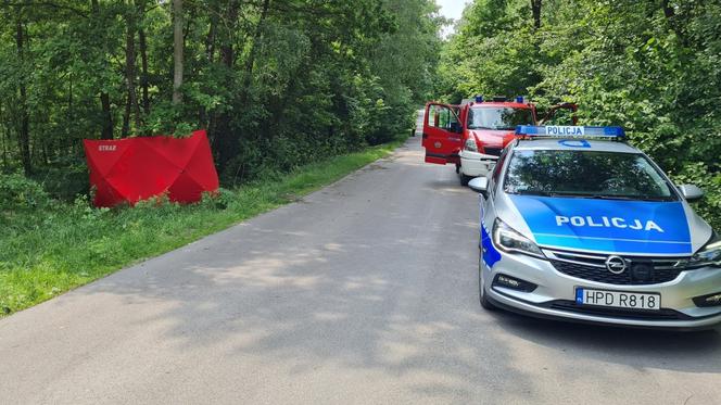Leopoldów: Śmierć motocyklisty. 24-latek zginął na miejscu. Makabra pod Rykami