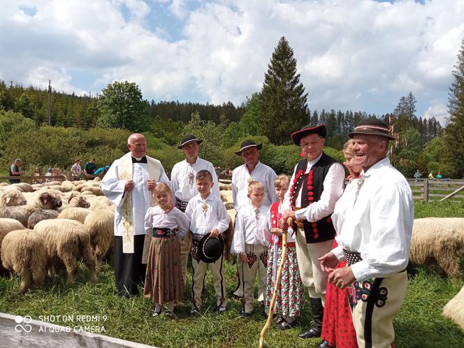 Zwyk bcowski w Soblówce
