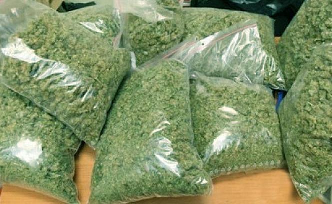 Moszczenica. Ponad pół kilograma marihuany w samochodzie. Kierowca wpadł podczas kontroli