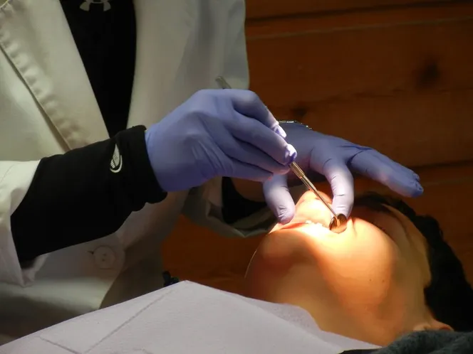 Dentysta