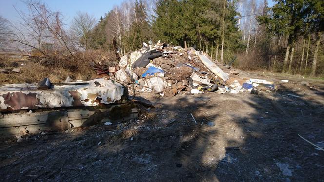 Poznań: Coraz więcej nielegalnych wysypisk! Zatrważające statystyki
