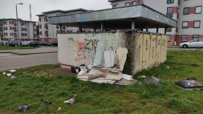 Psychopaci z Olsztyńskiej działają w tych okolicach. Nastolatki z Torunia robią straszne rzeczy