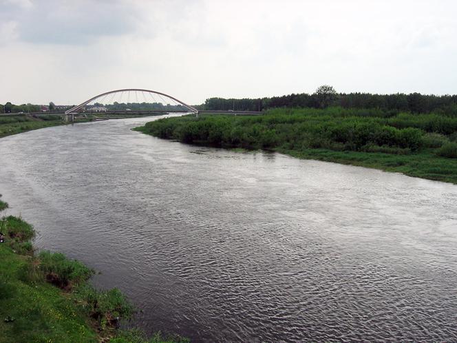 Członkowie WWF Polska alarmują: Olej z Elektrowni Ostrołęka płynie do Narwi!