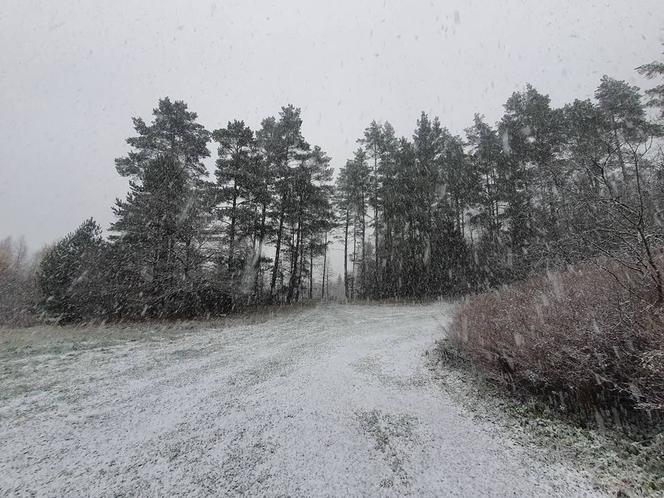 Śnieg na Warmii i Mazurach