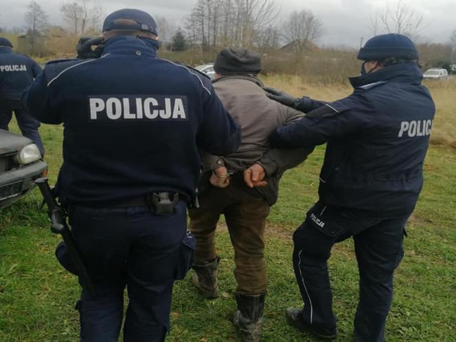 Piekło psów pod Olsztynem