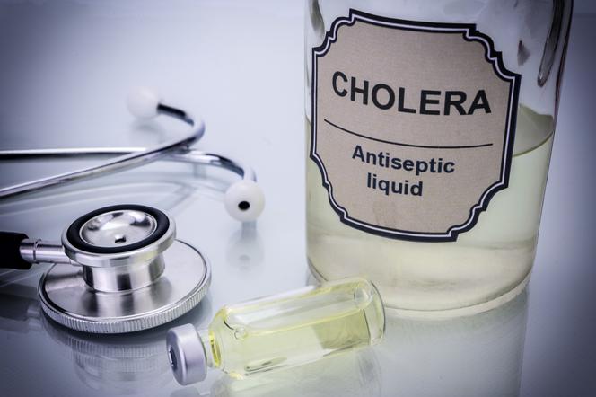 Cholera: objawy, leczenie, szczepionka