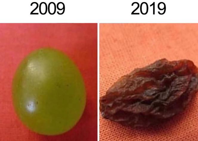 10 years challenge
