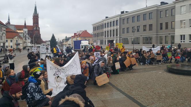 Młodzieżowy Strajk Klimatyczny