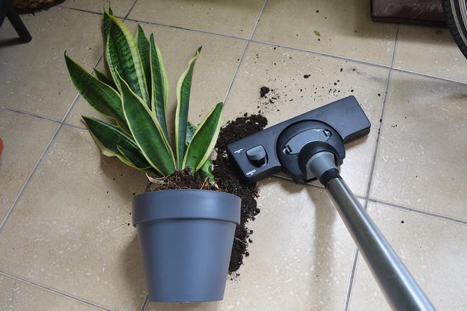 Bosch odkurzacz