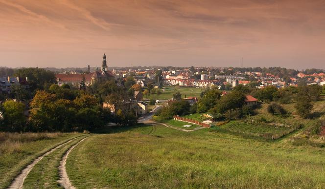 Zlokalizowana w centrum Wzgórz Trzebnickich Trzebnica postanowiła opuścić Lokalną Grupę Działania