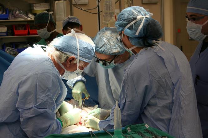 Wrocławski szpital będzie przeszczepiał serca