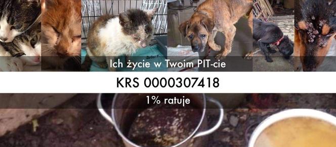 nadzieja
