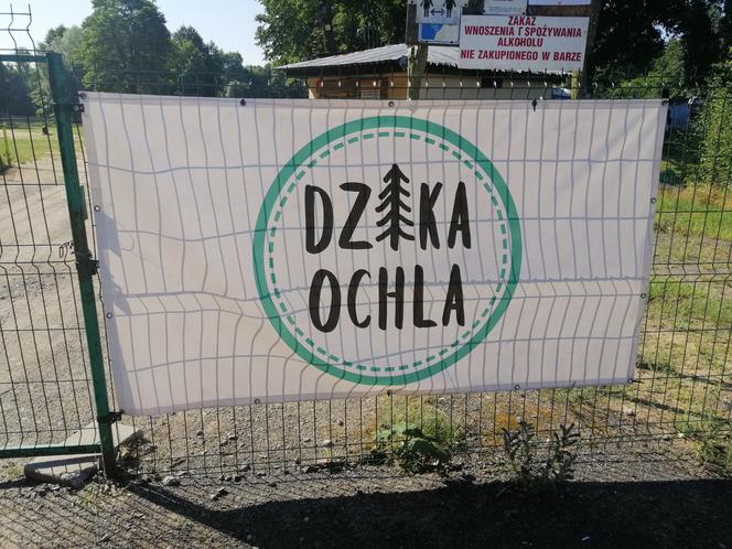 Dzika Ochla