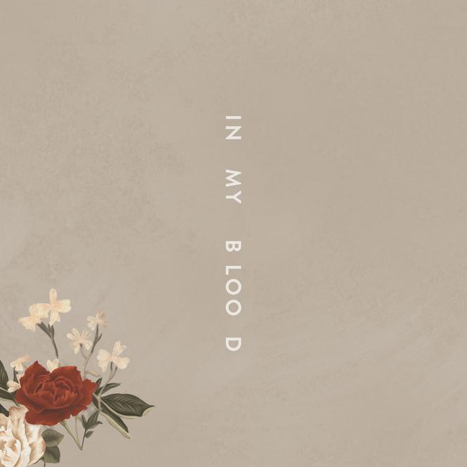 Nowości Muzyczne 2018: Shawn Mendes wrócił! In My Blood hitem wiosny 2018?
