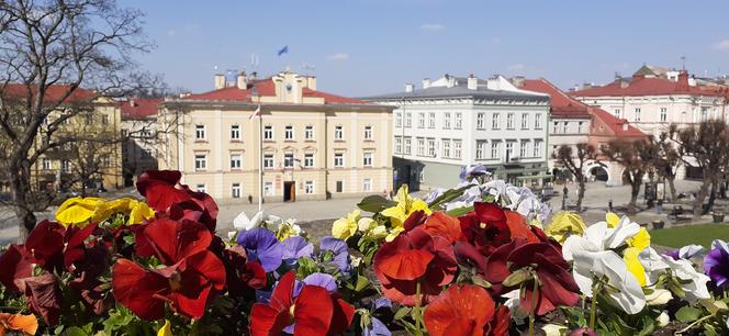 Nie oddałeś jeszcze głosu? Zostały ostatnie godziny!