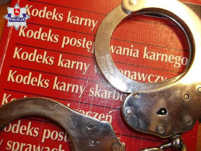 Złodziej może trafić za kraty nawet na 5 lat