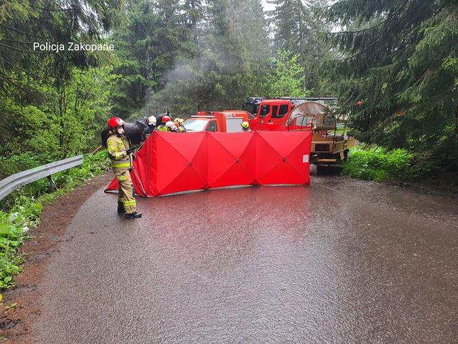 Wypadek zaprzęgu na drodze do Morskiego Oka