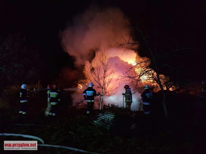 Sulejów: Strażacy odkryli ZWĘGLONE CIAŁO