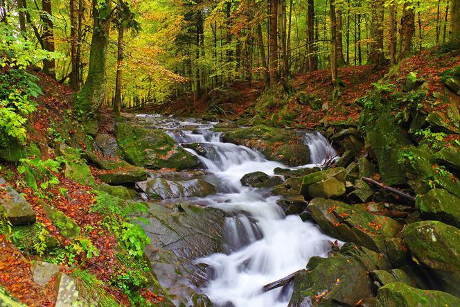 Wybierasz się w weekend w Bieszczady? Wytyczono tam nowy szlak i jest mniej turystów