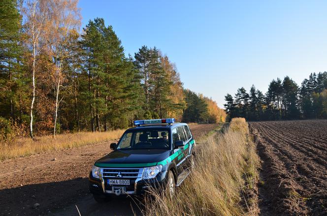 Podlaskie. Na bagnach znaleziono małżeństwo Irakijczyków