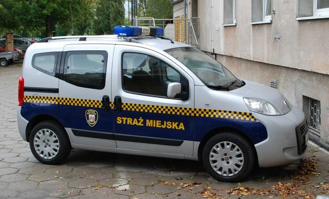 Koronawirus. Jakie zadania na straż miejska. Wojewoda wprowadza nowe rozwiązania
