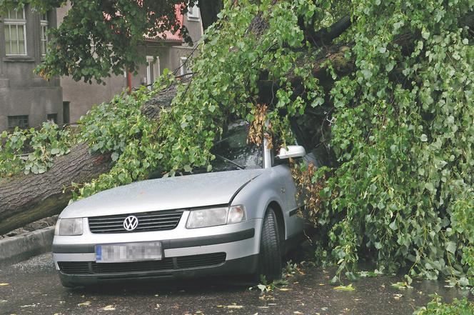 Boisz się o auto? Jest sposób na wichury!