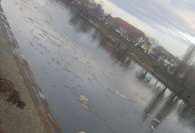 Niski poziom Warty utrzymuje się już od dłuższego czasu.
