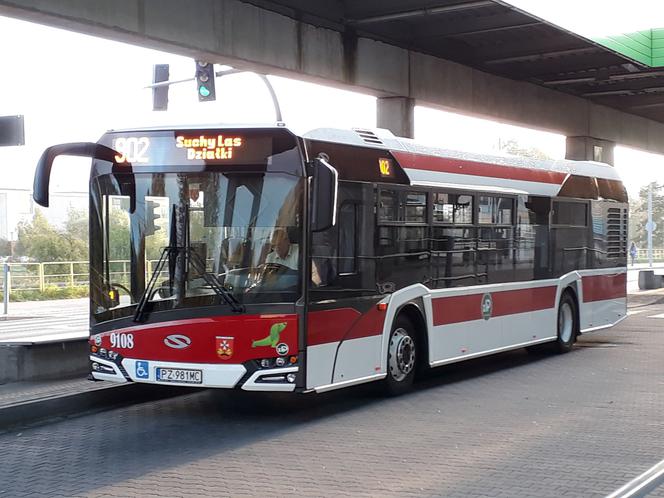 Autobus
