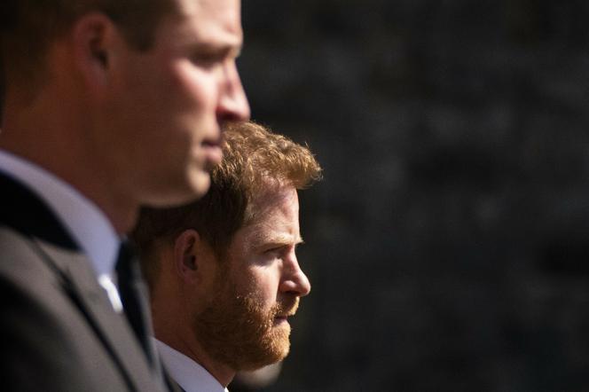Książę Harry i książę William