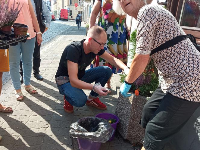 wolontariat prezydenta Leszna