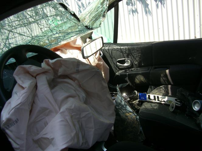Elżbietów. Uciekał na feldze, aż wystrzeliły poduszki. Dostrzegli, że coś rusza się pod fotelem!